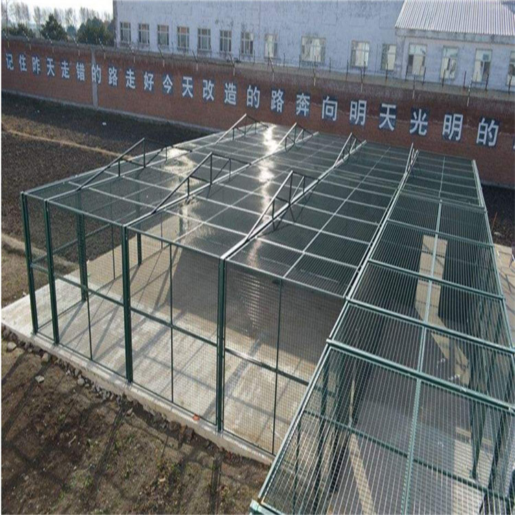 監(jiān)獄放風(fēng)場(chǎng)隔離網(wǎng)